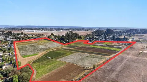 Organic Farm with Farmhouse