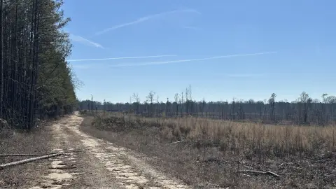 215 Acres Hunting Land in Arkansas