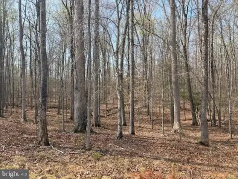 Exceptional Homesite in Stafford County