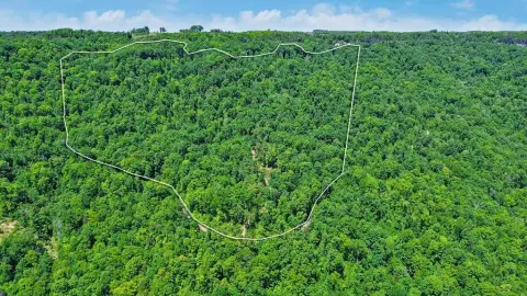 54.54 Acres Wooded Land