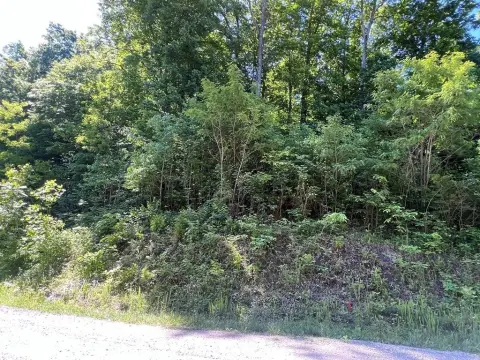 5.01 Acres Wooded Land