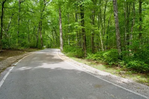 Tennessee Wilderness Land For Sale