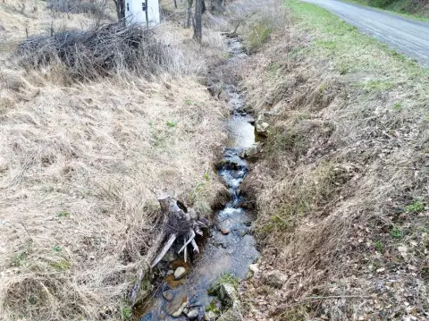 Elk Creek Land Near Forest
