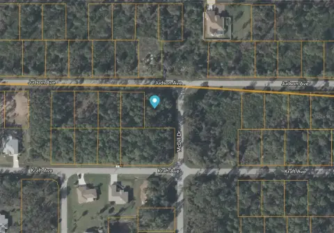 Corner Lot Near Myakka River