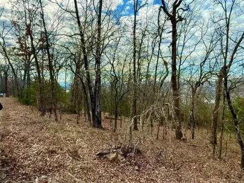 Adjoining Waterfront Lots