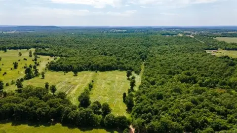Secluded Hunting and Recreational Land