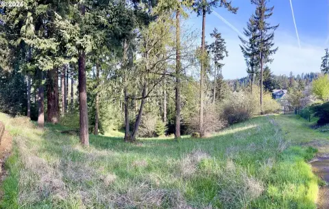 Wooded Lot in Southeast Eugene