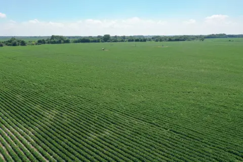 Irrigated Farm With Center Pivots