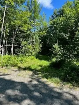 Monson, ME: Wooded Acreage