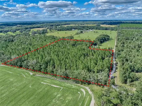 Land in Newberry, Florida