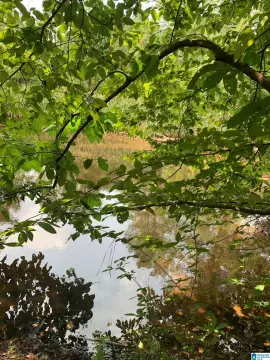 Calera Acreage Backing Waxahatchee Creek