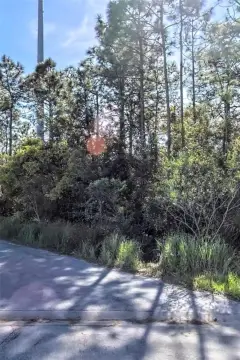 Agricultural-Zoned Land Parcel