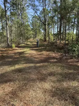 Recreation Land with Native Foliage