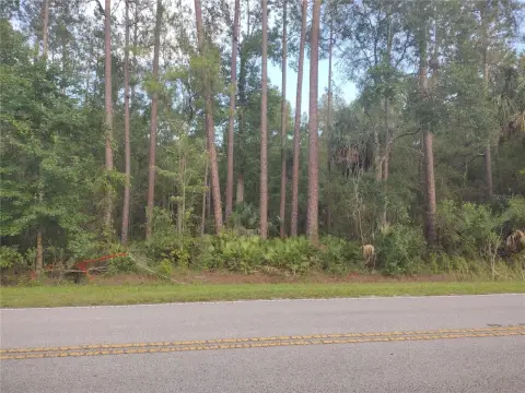 Vacant Land Near Ocklawaha River