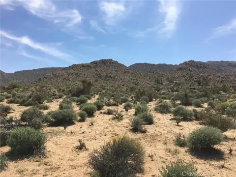 Joshua Tree Land with Views