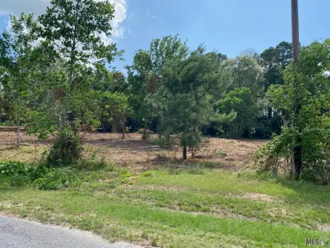 Light Commercial Land