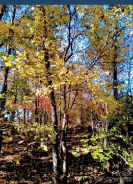 Waxhaw Land for Private Residence