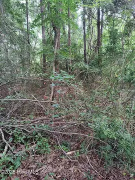 Waterfront Land in Hubert, NC