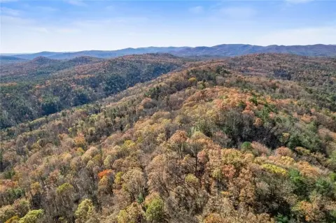 Secluded Land Near National Forest