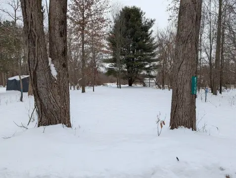 Bloomingdale Wooded Lot Near Scott Lake
