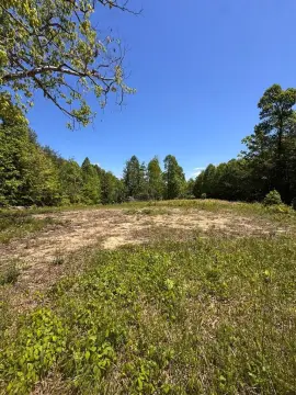 Unrestricted Land in Monterey, TN