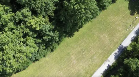 Picturesque Land in Pleasant Shade