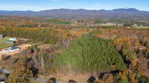 Wooded Land with Creek Boundary
