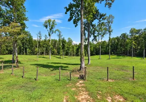 Pastureland Agricultural Parcel