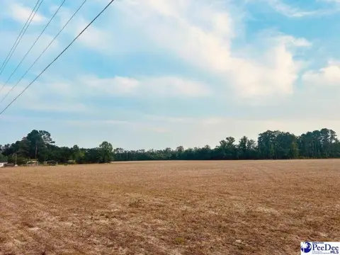 21.5 Acres on Highway 9