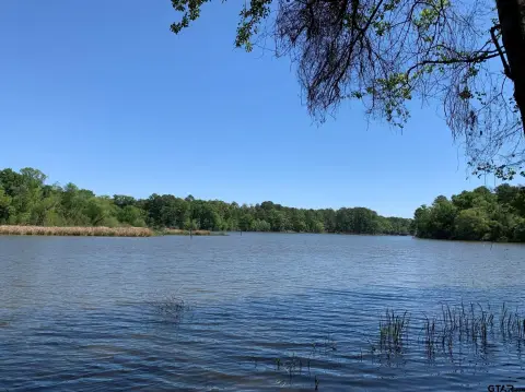 Wooded Waterfront Land