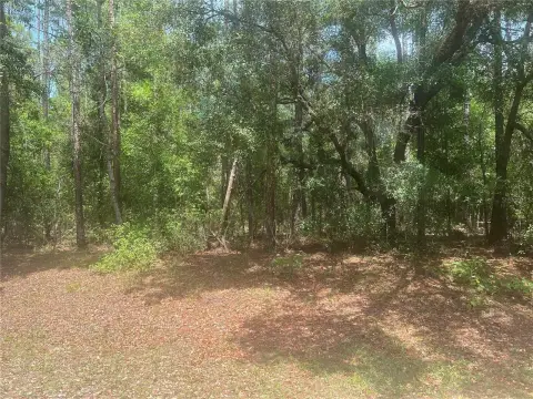 Land in Quiet Dunnellon Neighborhood