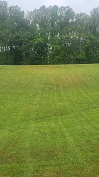 Evans Rd Land in Bedford