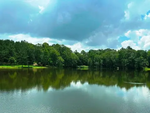 42 Acres of Vacant Land