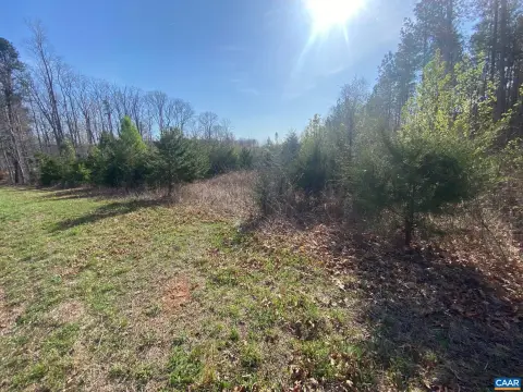 Acreage Opportunity in SCOTTSVILLE, VA