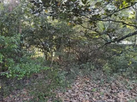 Residential Land in Spring Hill