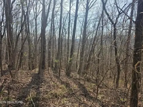 5.16 Acres Wooded Land