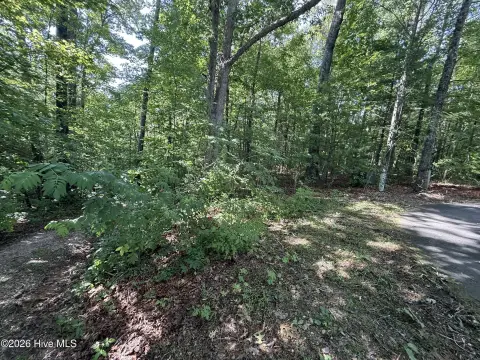 Wooded Recreation Land Tract