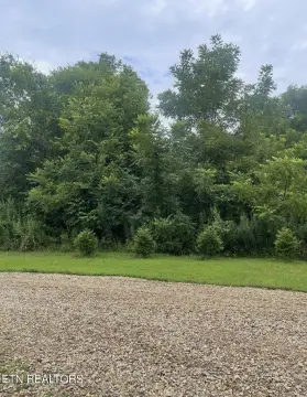 Riverfront Wooded Lot