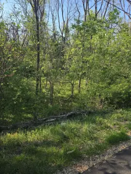 Roanoke Building Lot Opportunity