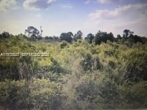 Residential Lot in Lehigh Acres