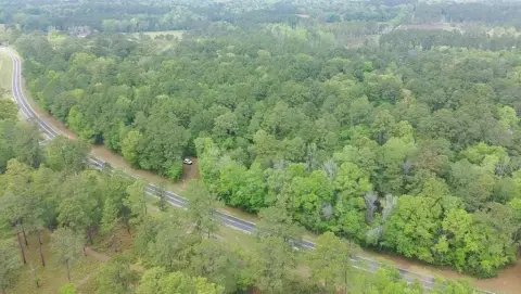 Thomasville Land with Wooded Homesites