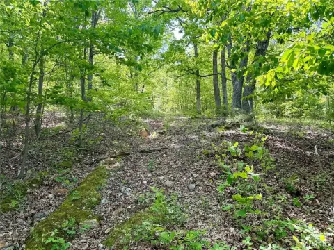 Wooded Residential Acreage
