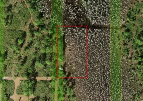 St. Cloud Land For Sale