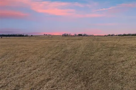 Expansive Ranch Land in Blossom, TX