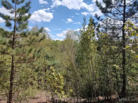 Michigan Wilderness Retreat Land For Sale