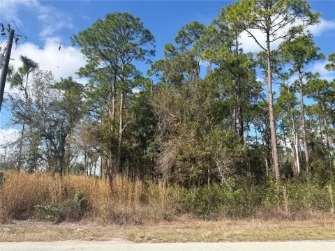 Residential Land in Sebring, FL