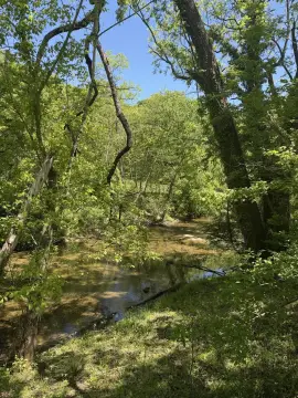 Residential Land in Hollins Area