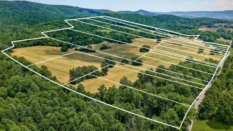 197.5 Acres of Farmland