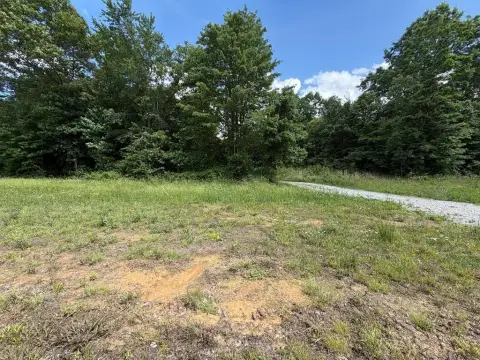 Unrestricted Wooded Land For Sale