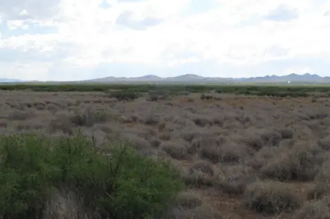 Vacant Land in Luna County